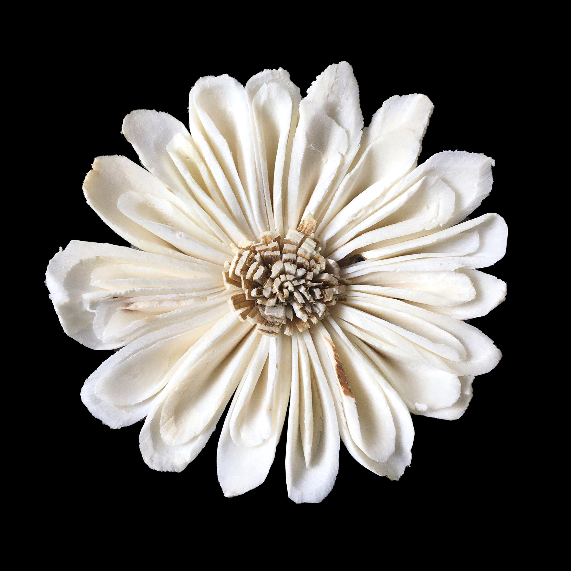 10PCS African Daisy Hand-made  - Home Decor Daisy reseña y precio