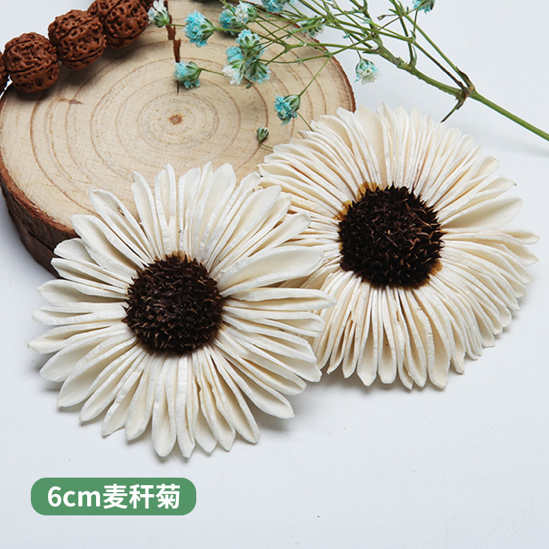 10PCS African Daisy Hand-made  - Home Decor Daisy reseña y precio