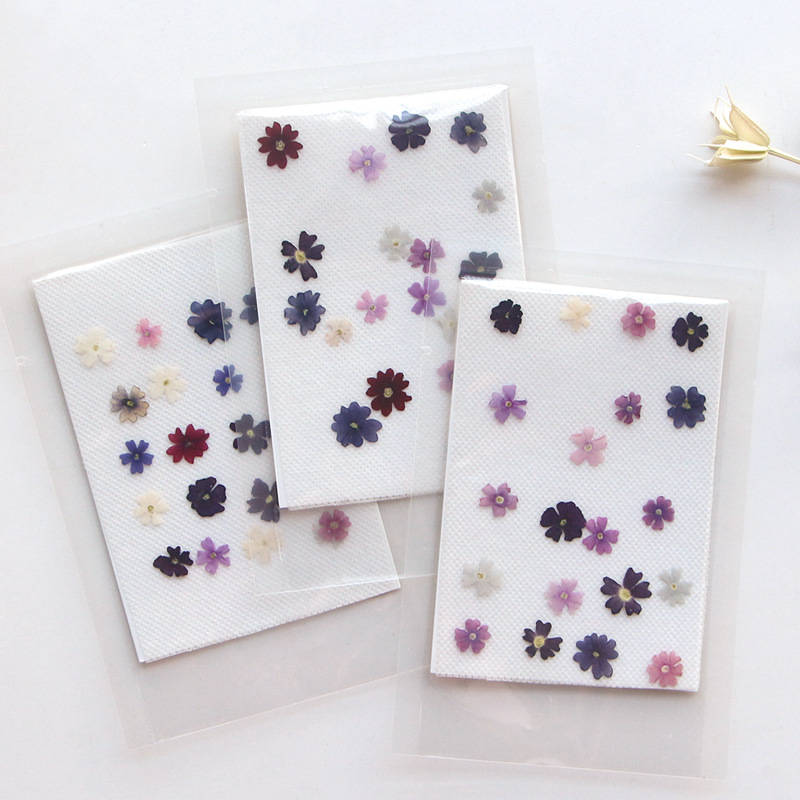 40pcs/lot,Mini Beauty Cherry p - Pressed Flower Frame reseña y precio