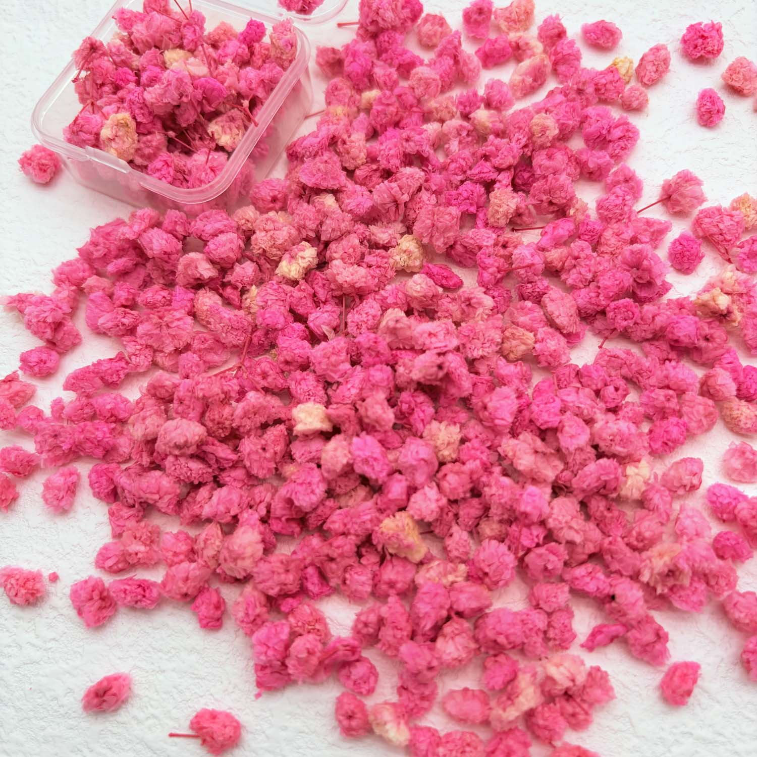 1 Box Colorful Flower Heads Ha - Home Decor Daisy reseña y precio