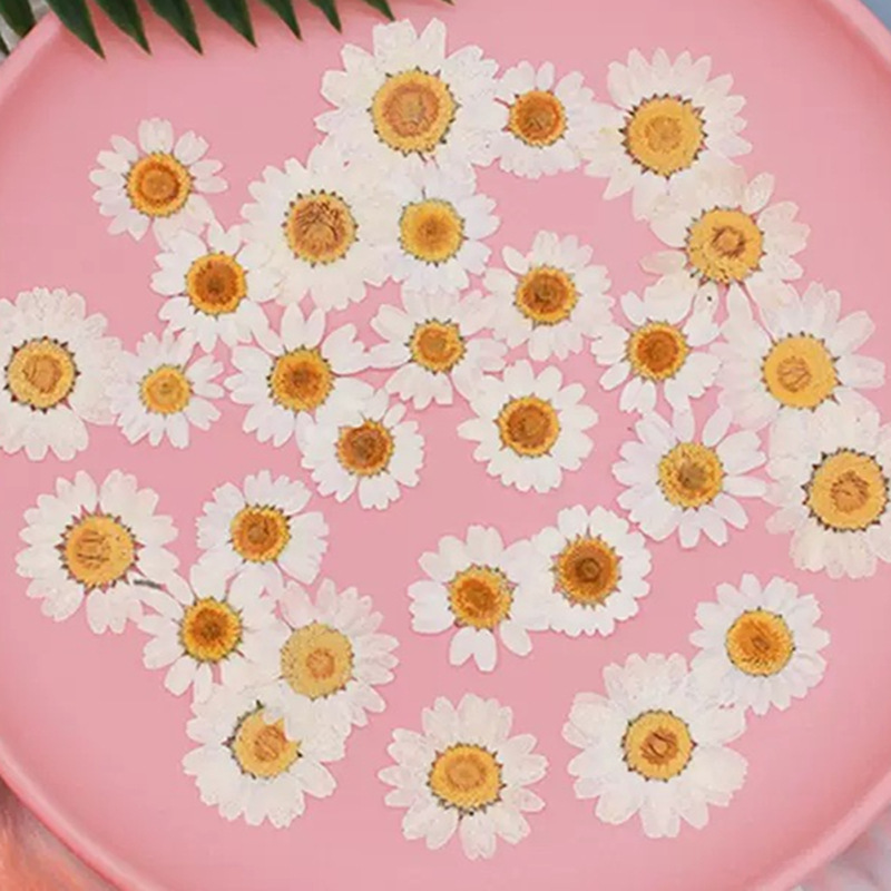 100Pcs Natural White Crystal C - Pressed Flower Frame reseña y precio