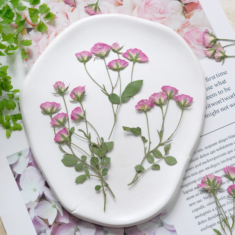 12pcs,Mini Pink Rose Pressed F - Pressed Flower Frame reseña y precio
