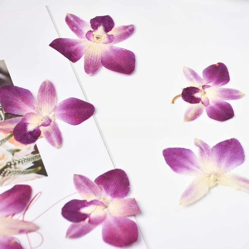 4pcs,Real Pressed Butterfly Or - Pressed Flower Frame reseña y precio