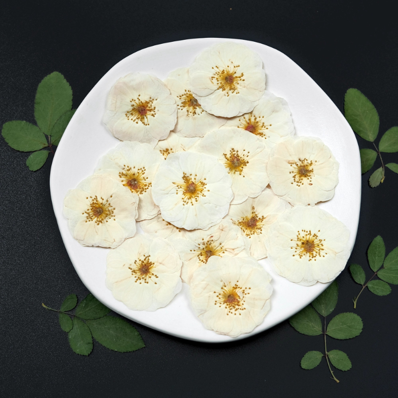 6pcs,9pcs,Nature White Rose Pr - Pressed Flower Frame reseña y precio