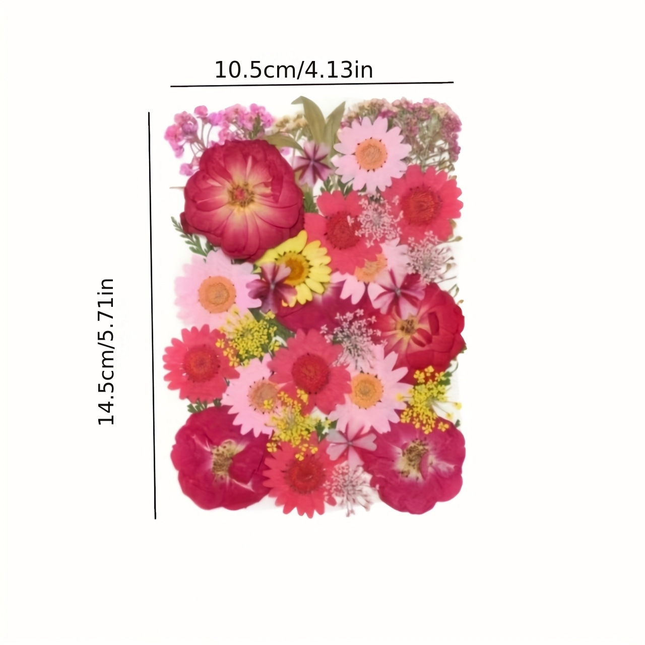 500pcs of Random Materials for - Pressed Flower Frame reseña y precio