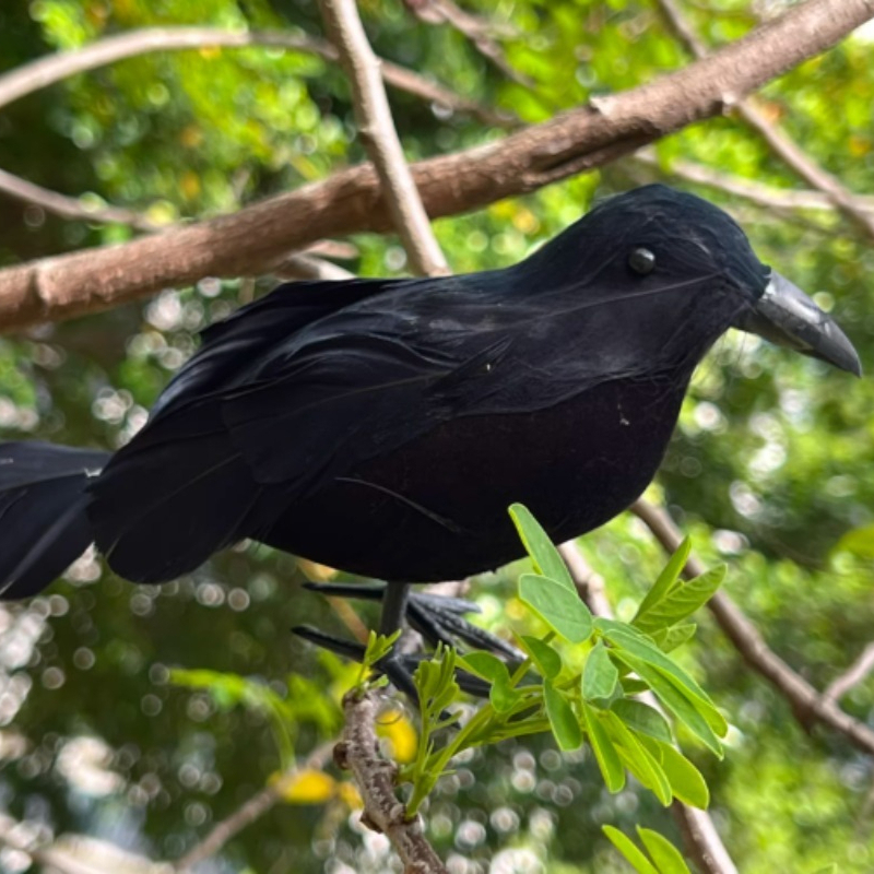 1PC Black Crow Halloween Decor - Home Decor You reseña y precio