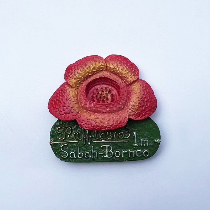 Malaysia Sabah Borneo Rafflesi - Home Decor Malaysia reseña y precio