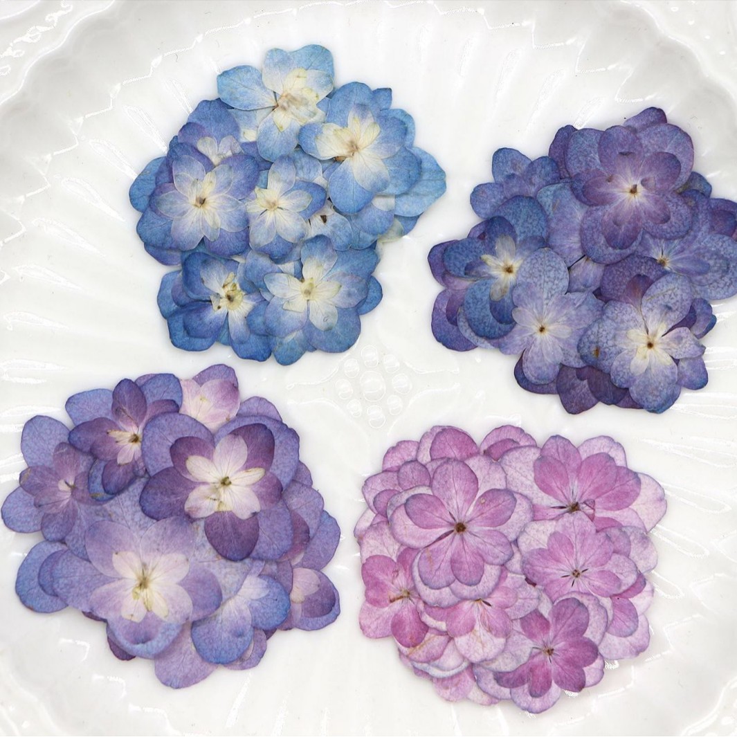 60Pcs Mini Double-Flowered Hyd - Pressed Flower Frame reseña y precio