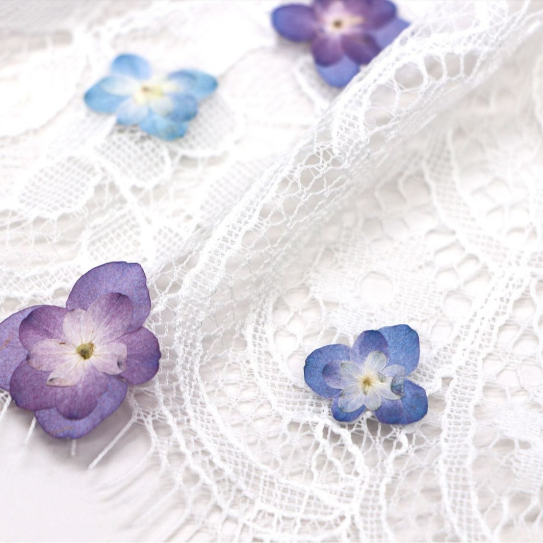 60Pcs Mini Double-Flowered Hyd - Pressed Flower Frame reseña y precio
