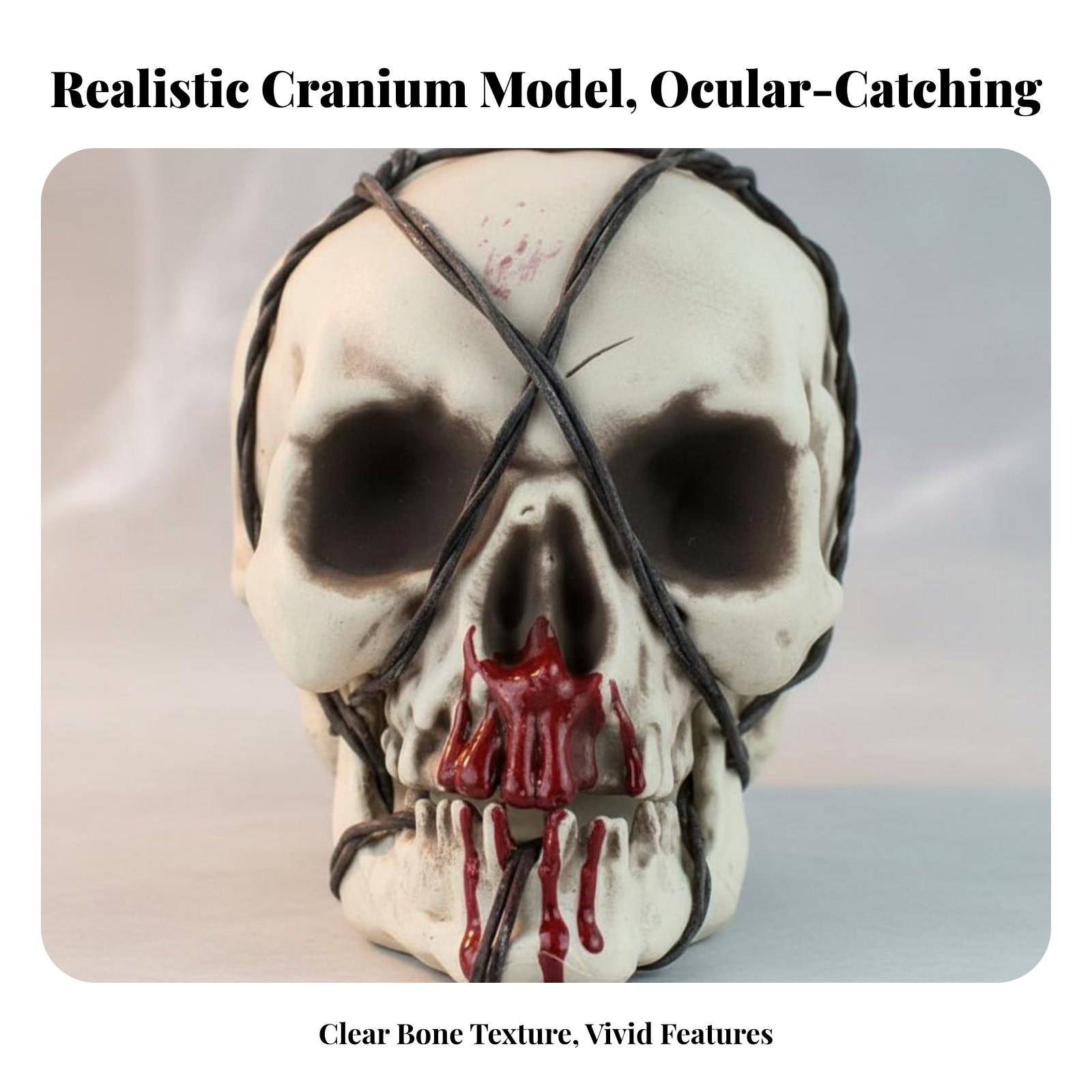 Realistic Skull Model Horror T - Home Decor You reseña y precio