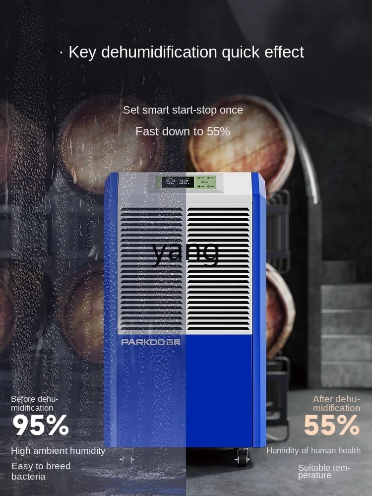 CX Dehumidifier High Power Hom - Home Decor You reseña y precio