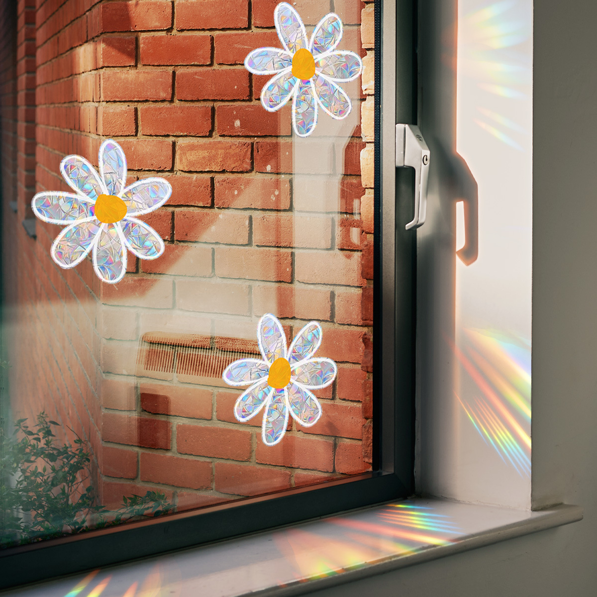 Flowers Daisies Electrostatic  - Home Decor Daisy reseña y precio