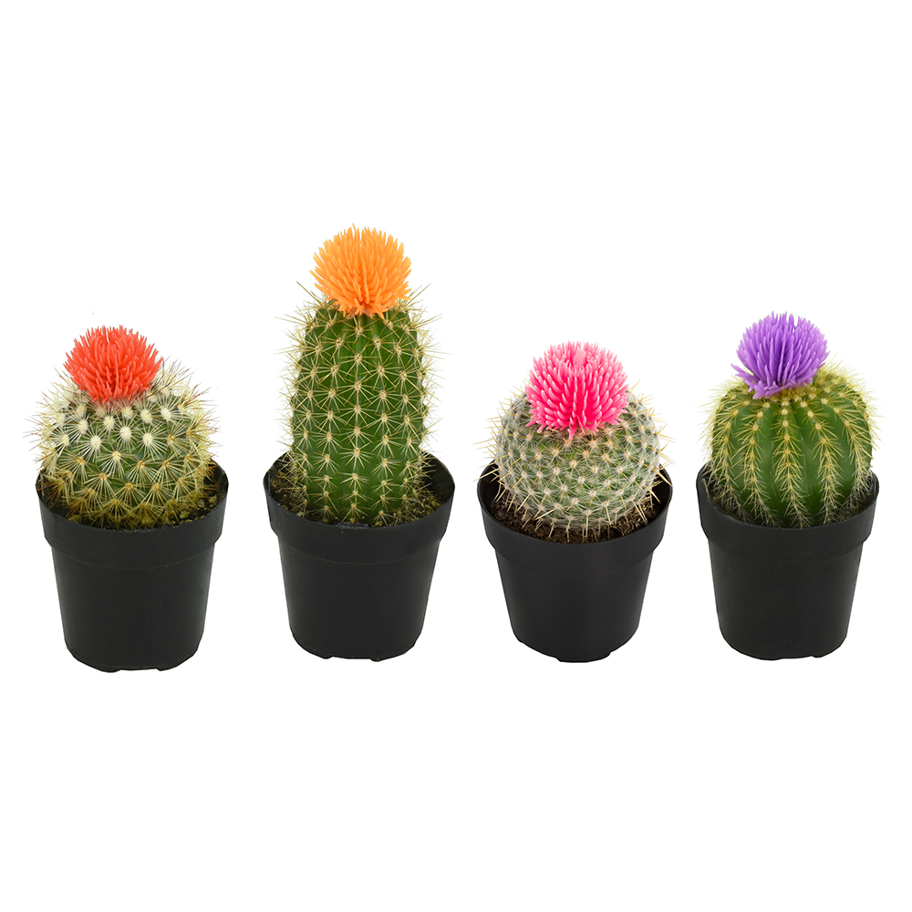 Easy Decor Cactus Pack with 4  - Home Decor Locations reseña y precio